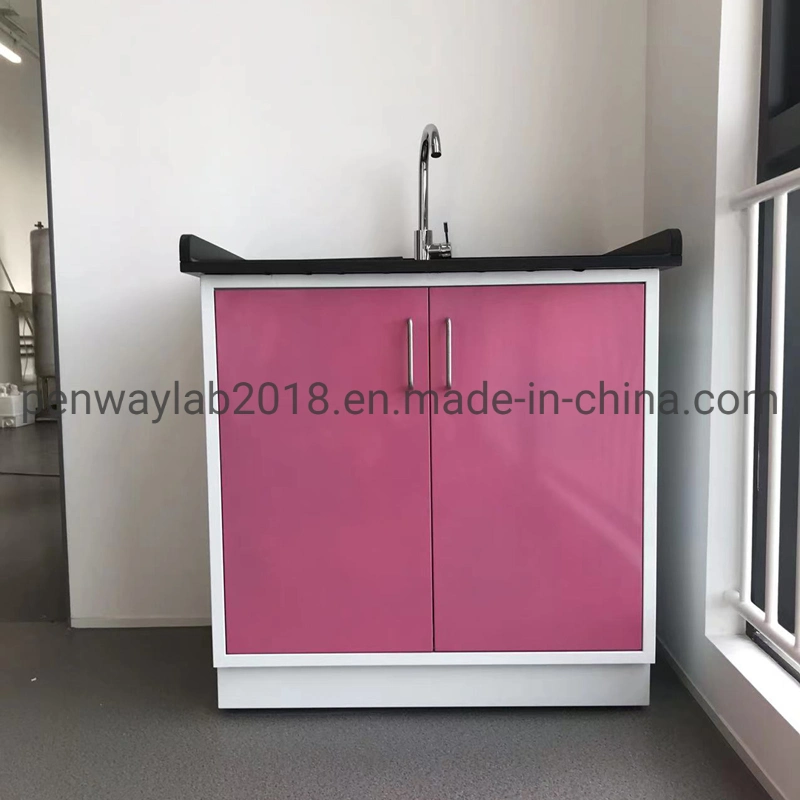 Full Painted Steel Movable Lab Bench Cabinet Mobile Laboratory